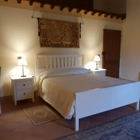 La Magnifica B&B Fauglia Exterior photo